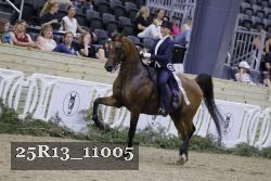 25R13_11005 thumbnail