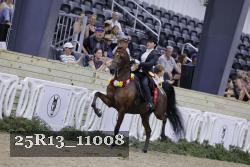 25R13_11008 thumbnail