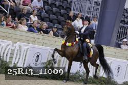 25R13_11009 thumbnail