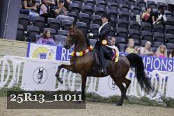 25R13_11011 thumbnail