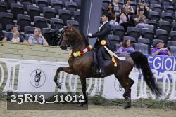 25R13_11012 thumbnail