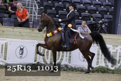 25R13_11013 thumbnail