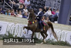25R13_11014 thumbnail