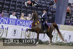 25R13_11015 thumbnail