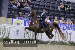 25R13_11016 thumbnail