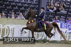25R13_11017 thumbnail