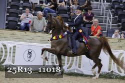 25R13_11018 thumbnail