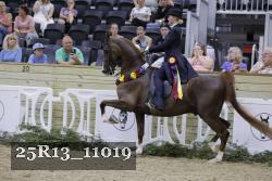 25R13_11019 thumbnail