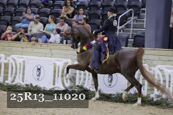 25R13_11020 thumbnail