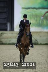 25R13_11021 thumbnail
