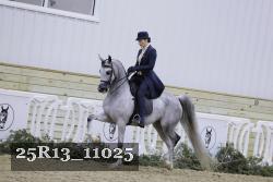 25R13_11025 thumbnail