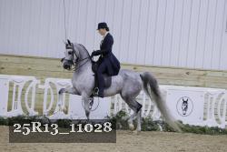 25R13_11028 thumbnail