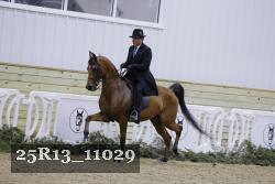 25R13_11029 thumbnail