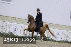 25R13_11030 thumbnail