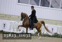 25R13_11032 thumbnail