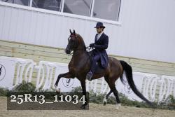 25R13_11034 thumbnail