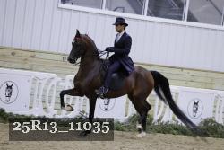 25R13_11035 thumbnail