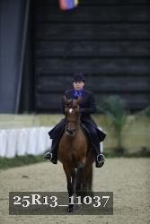 25R13_11037 thumbnail
