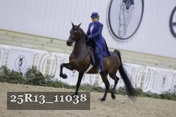 25R13_11038 thumbnail