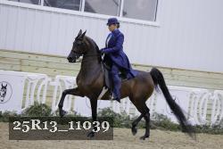 25R13_11039 thumbnail