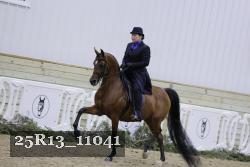 25R13_11041 thumbnail