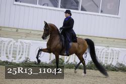 25R13_11042 thumbnail