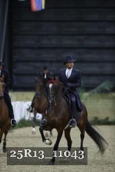 25R13_11043 thumbnail