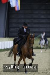 25R13_11044 thumbnail