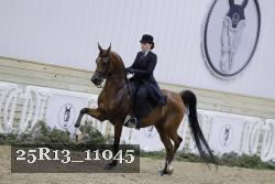25R13_11045 thumbnail