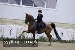 25R13_11046 thumbnail