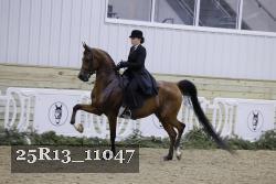 25R13_11047 thumbnail