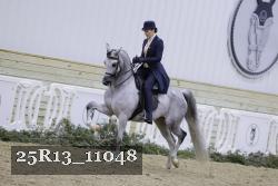 25R13_11048 thumbnail