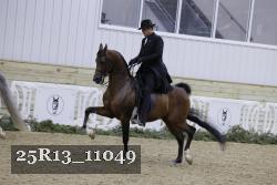 25R13_11049 thumbnail