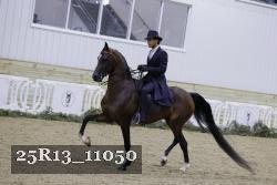 25R13_11050 thumbnail