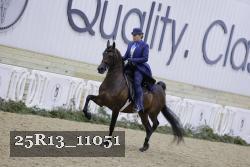 25R13_11051 thumbnail