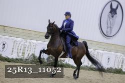 25R13_11052 thumbnail