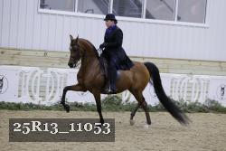 25R13_11053 thumbnail