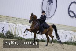 25R13_11054 thumbnail