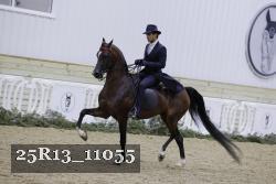 25R13_11055 thumbnail