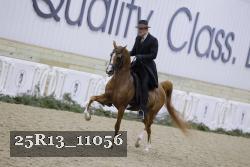 25R13_11056 thumbnail