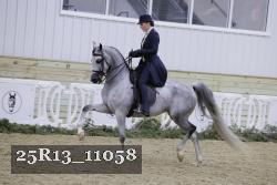 25R13_11058 thumbnail