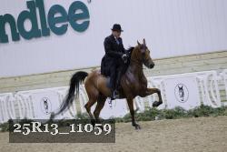 25R13_11059 thumbnail