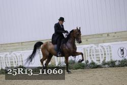 25R13_11060 thumbnail
