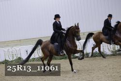 25R13_11061 thumbnail