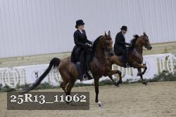 25R13_11062 thumbnail