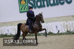 25R13_11063 thumbnail