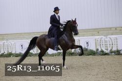 25R13_11065 thumbnail