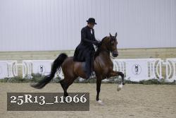 25R13_11066 thumbnail