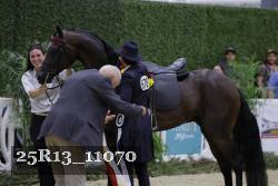 25R13_11070 thumbnail