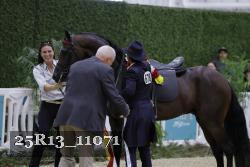 25R13_11071 thumbnail